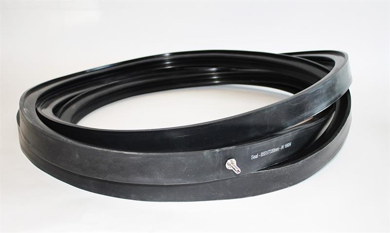 Inflatable gaskets for use in smoking ovens